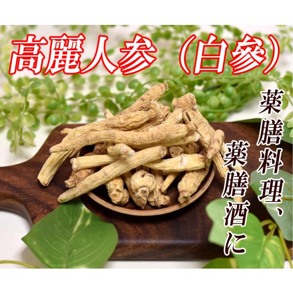 tanpopohonpo_tanpopo-047 tanpopohonpo_tanpopo-047