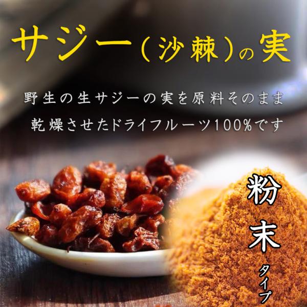 サジーの実・粉末（ドライサジーパウダー） 50g 沙棘の実 乾燥 新疆野生 原料そのまま 無添加 たんぽぽ本舗