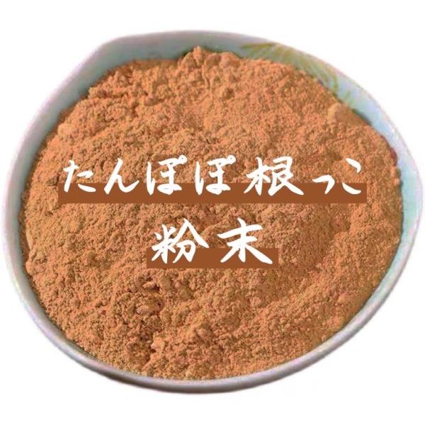 たんぽぽの根っこ粉末 100g 原材料根っこのみ100％ 無添加 原料そのまま たんぽぽ茶 たんぽぽコーヒー 焙煎 たんぽぽ 蒲公英 たんぽぽ本舗