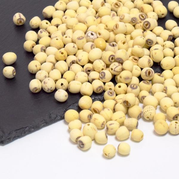 【商品名】　蓮の実 原料そのまま【原材料】 乾燥蓮の実【内容量】　100g【原産地】　中国産【生産国】　日本【GTINコード】4595056828136【保存方法】 直射日光・高温・多湿を避けて保存してください。※開封の後は封印して要冷蔵（...