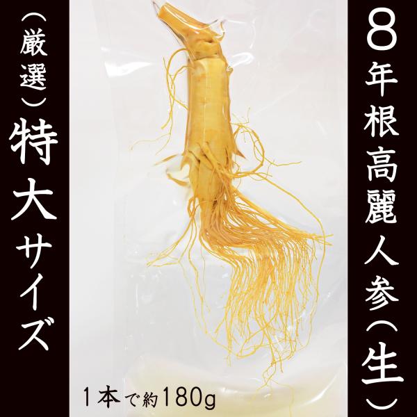 こちらは8年根の高麗人参(生)で、大変貴重な特大サイズになります。【商品名】 8年根生高麗人参【内容量】 1本 【産地】 中国長白山産【GTINコード】 4595056828358【保存方法】 直射日光・高温・多湿を避けて保存してください。...