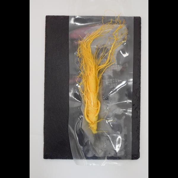 こちらは6年根の高麗人参(生)で、6年根の中から立派な厳選された1本（漬けているお酒を除く）で、大変貴重な高麗人参・姿（生）になります。【商品名】 高麗人参（生）・6年根の厳選１本【内容量】 1本【産地】 中国長白山産【GTINコード】45...