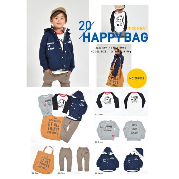  nico hrat jRt[g 2020N Vt j̎qB/209002