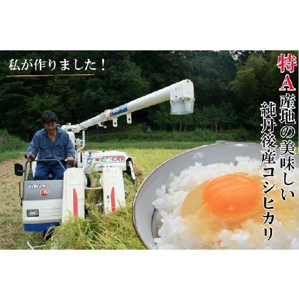 丹後産こしひかり 白米約２７kg 令和2年度産 丹後米 丹後コシヒカリ 農家直送 産地直送米 当日精米 白米 Buyee Buyee Japanese Proxy Service Buy From Japan Bot Online
