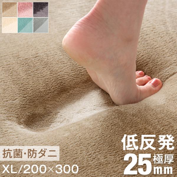 [1/1(木)限定 ボーナスストア+5%！当店ならP15%〜][送料無料(沖縄県・離島は送料別途）]■サイズ200×300cm※布製品のため、±5cm程の誤差が生じる場合がございます。■重量約6kg■素材表地：ポリエステル100%　目付け：...