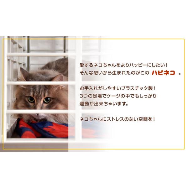 キャットケージ 猫ケージ 3段 ペットケージ 大型 猫 キャット キャスター シンプル おしゃれ 脱走防止 多頭飼い 2匹 爪とぎ キャット