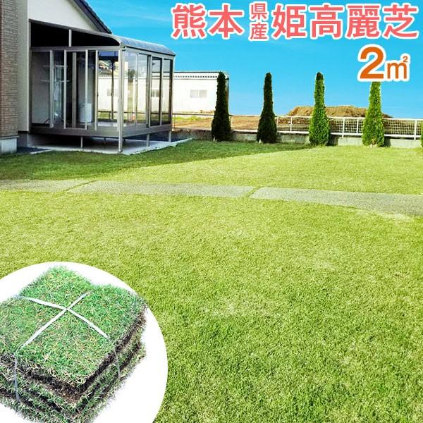 天然芝 芝生 産地直送 熊本県産 姫高麗芝 高麗芝 2m2 2平米 ２平米 お手入れ簡単 ガーデン ガーデニング お庭 庭 コウライシバ Diy Buyee Buyee บร การต วกลางจากญ ป น ซ อจากประเทศญ ป น