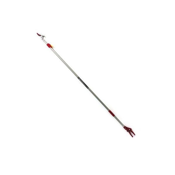 g 4977292685825 yʐLk} 2i3M SGLP 11