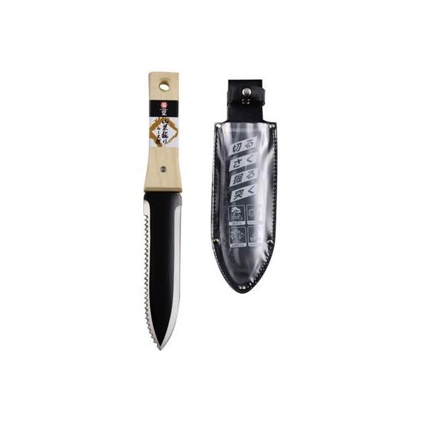 e 4907052744462 RؖxP[Xt