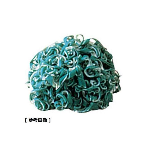 RobNX JTW11003 z킵ThN[ 10 ז