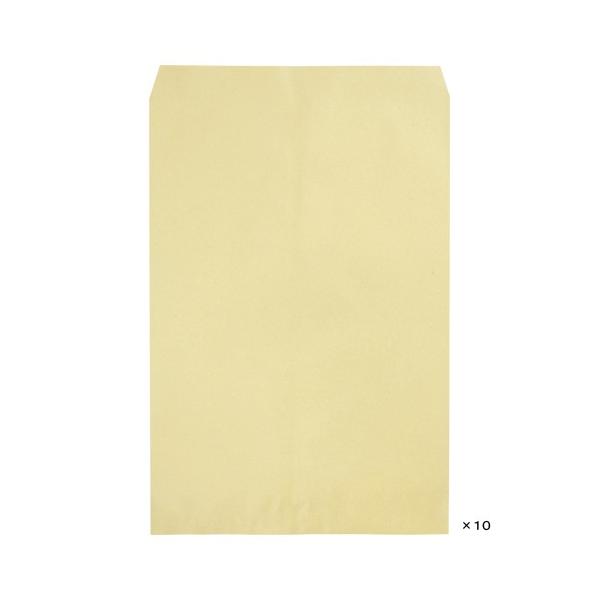 4972924001509  NtgpA2 120g 10  00150