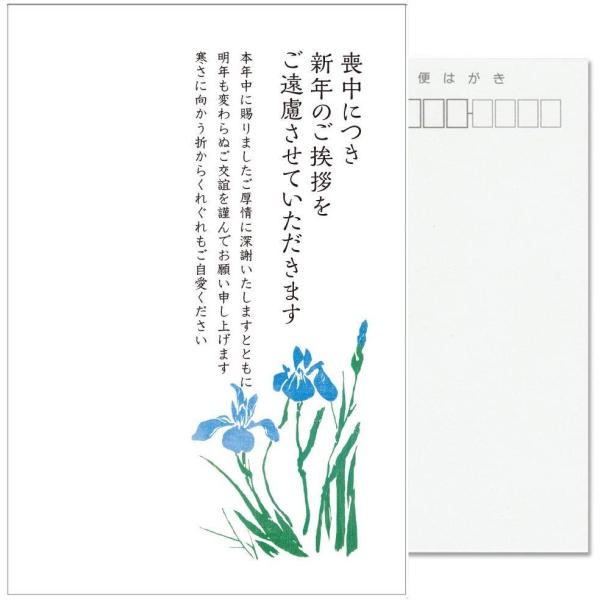 枚数：10枚セット宛名面：「私製はがき」（切手をご準備下さい）※郵便枠グレー　ハガキの厚さは官製はがきよりやや薄い発送方法：追跡メール便（ポスト投函）続柄、氏名、年齢等の記入を手書きでするタイプです。※郵便枠グレー　私製ハガキの紙の重さは1...
