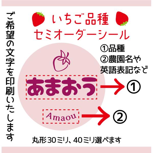 いちご品種セミオーダーシール 丸形30ミリ 40ミリ サイズ、枚数選べ