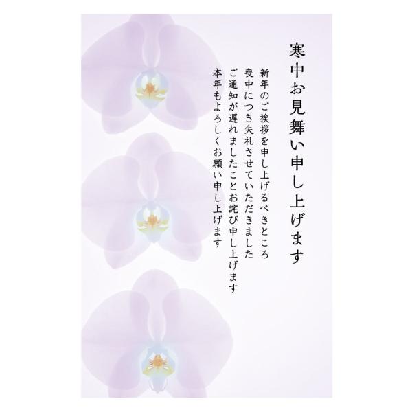  10@͂@rṕ@806@85~؎t͂/ʈς
