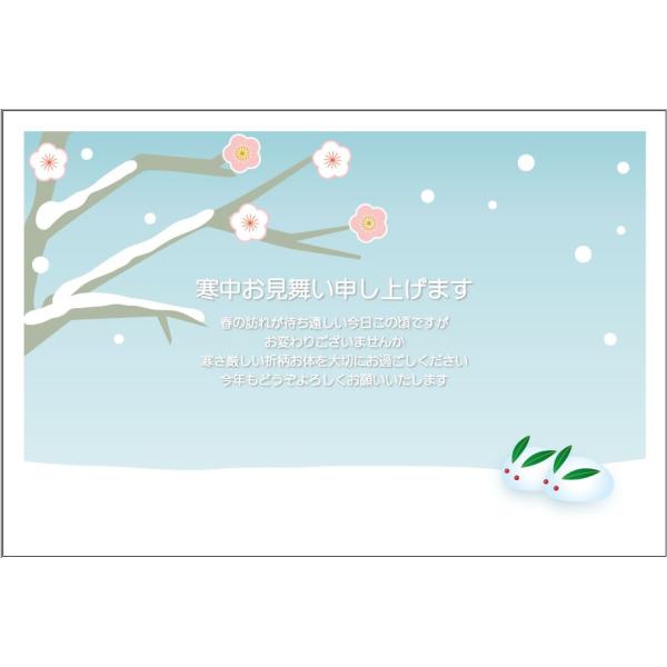  10@͂@Ȃ悵Ⴄ@pka-02@85~؎t͂/ʈς