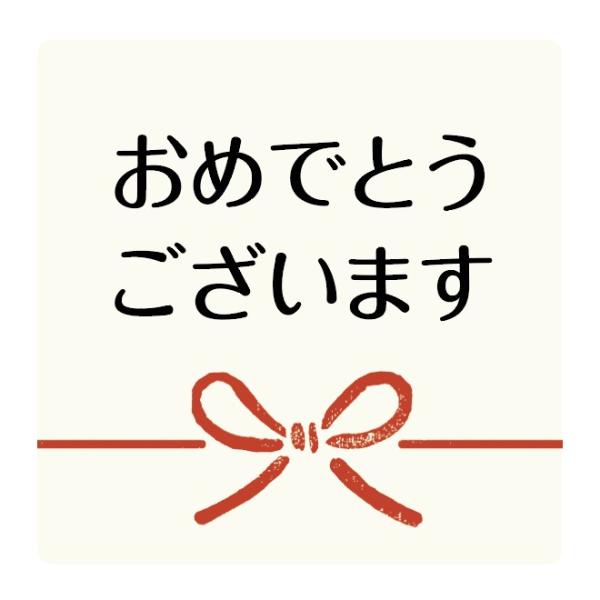 ߂łƂ܂V[i100j40×40mmyaV[z