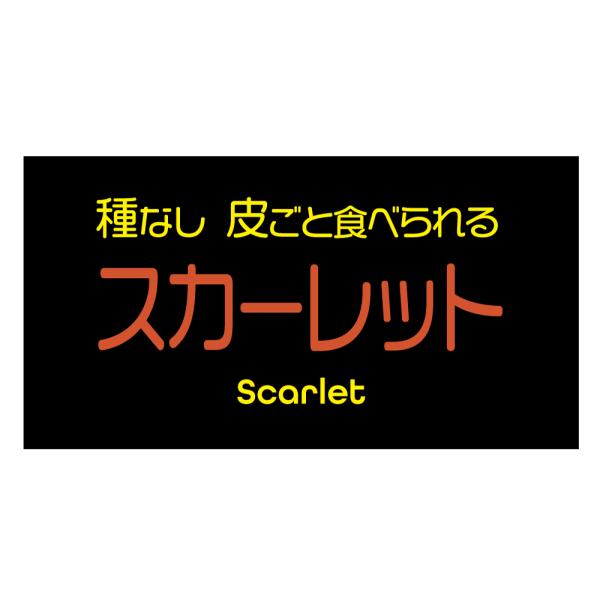 スカーレット　シール（388-2yoko）横型 アート紙 ぶどう品種シール ぶどうラベル サイズ48.3×25.4ミリ　枚数お選び下さい