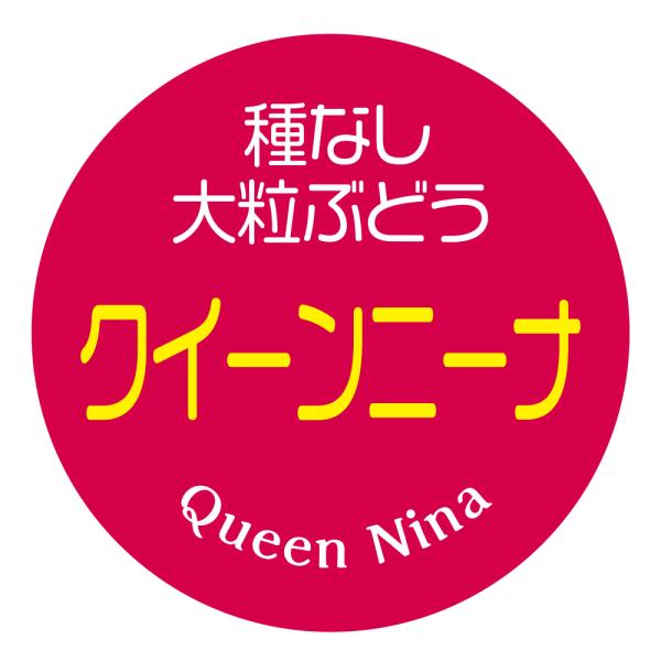 クイーンニーナ　シール（324）種なし　大粒ぶどう　丸形　(サイズ40ミリ-120枚)　(サイズ30ミリ-240枚)