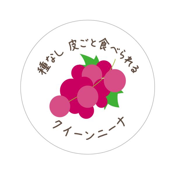 クイーンニーナ　シール（520）種なし皮ごと食べられる 丸形 アート紙（ぶどうイラスト入）　(サイズ40ミリ-120枚)　(サイズ30ミリ-240枚)