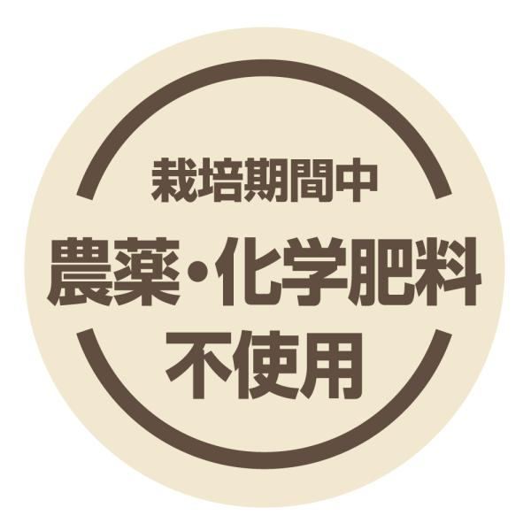 栽培期間中　農薬・化学肥料不使用シール　[キナリ1]（noukla-17kinari1）丸形　(サイズ40ミリ/30ミリ)