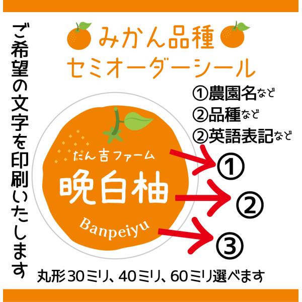 みかん　オーダー商品 みかん品種セミオーダーシール サイズ、枚数選べます : メイドイン