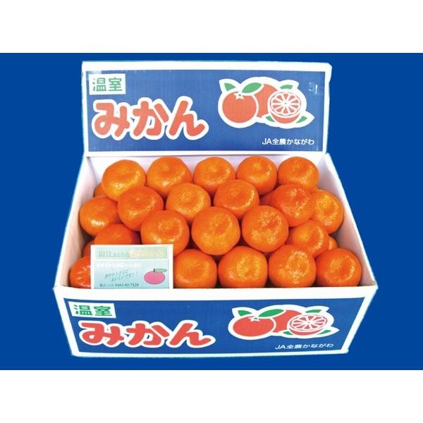 ハウスみかん　ファミリーサイズ（5kg）
