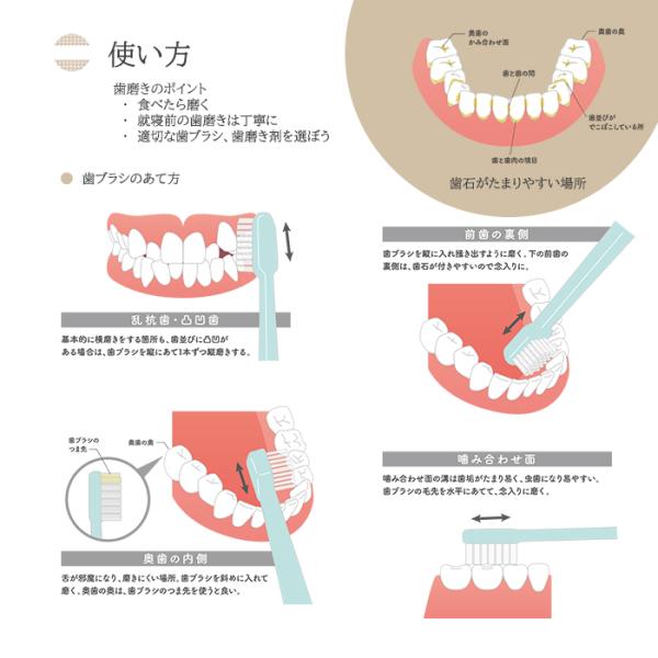 tao-store_a-063a-n_5_d_20231018095843