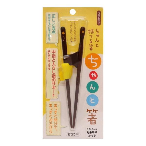 他サイト： 矯正箸 ちゃんと箸 きちんと箸 子供用 子ども こども 右利き お箸 箸 16.5cmの商品画像