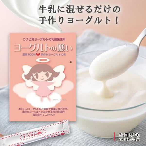 「カスピ海ヨーグルトの乳酸菌ヨーグルトの願い」は、クレモリス菌のみを使ってフリーズドライにしたヨーグルトの種菌です。クレモリス菌は、発酵中に空気を必要としないので、密封容器で作ることができ、ご家庭で作るときに雑菌の混入が防げ安心です。独特の...