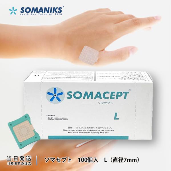 ソマセプト L 7mm 100個入り SOMACEPT 緩和 東洋レヂン株式会社