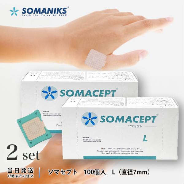 東洋レヂン株式会社 ソマセプト SOMACEPT 100個入り L 東洋レヂン ソマセプト L 100個入 : MINKYーSHOP - 通販
