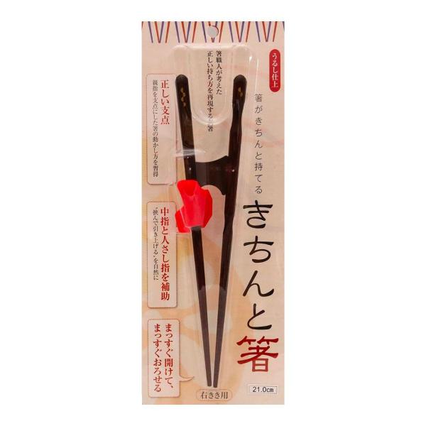 他サイト： イシダ 矯正箸 きちんと箸 おとな用 21cm 右利き 箸の商品画像