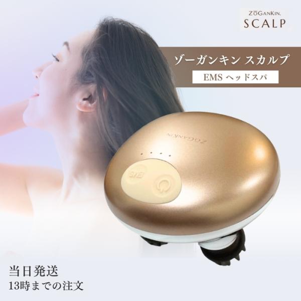 ゾーガンキンスカルプ EMS ヘッドスパ ZOGANKIN スカルプブラシ 楽天市場】【ポイント10倍】 ゾーガンキンスカルプ EMS
