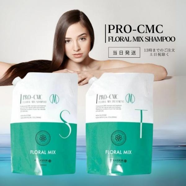 デラクシオ プロ CMC シャンプー 3000ml トリートメント 3000g 2袋セット
