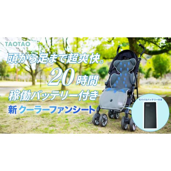 taotaostore_b0dg53rjmz