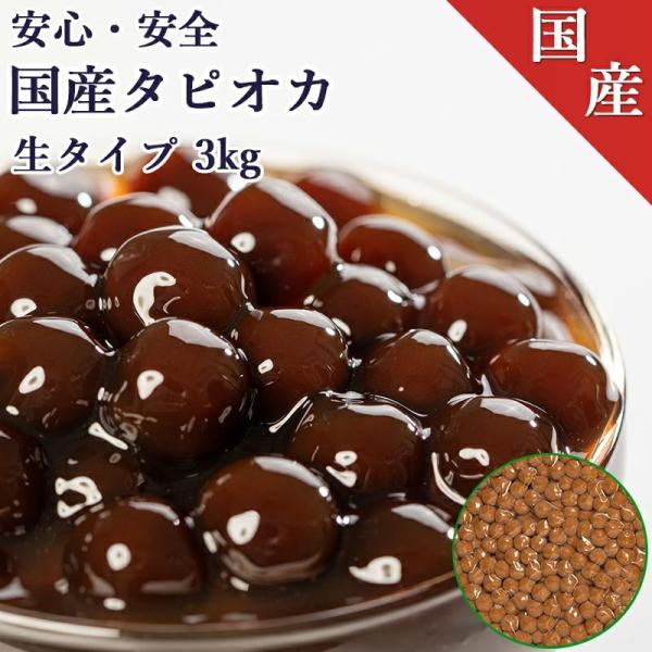 タピオカ tapi-ex_2-12001