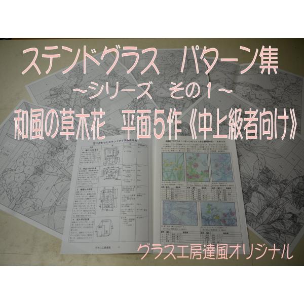 ステンドグラス パターン集 その１ 和風の草木花 平面５作 中上級者向け Buyee 日本代购平台 产品购物网站大全 Buyee一站式代购 Bot Online