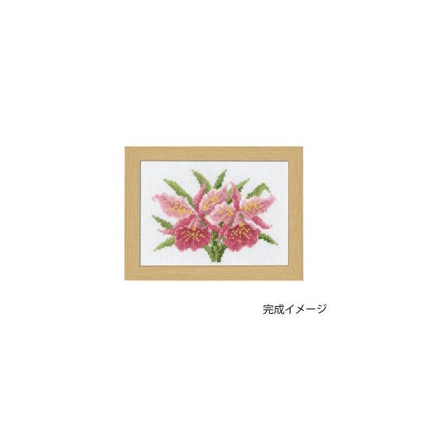 カトレア 花の人気商品 通販 価格比較 価格 Com