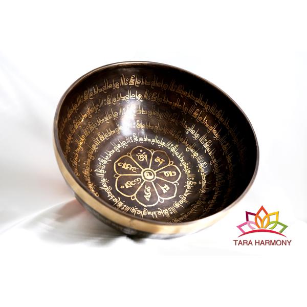 ■直径：24cm ■重量：1594g■倍音構成：C#3,G#4,G5（★美音）例）G#4は音階のソ＃で、ピアノの鍵盤中央音域４の高さ　　基音（最も低い音）がC#3で、その上にG#4,G5の倍音が主に重なっている音色です。★ソルフェジオ周波数...