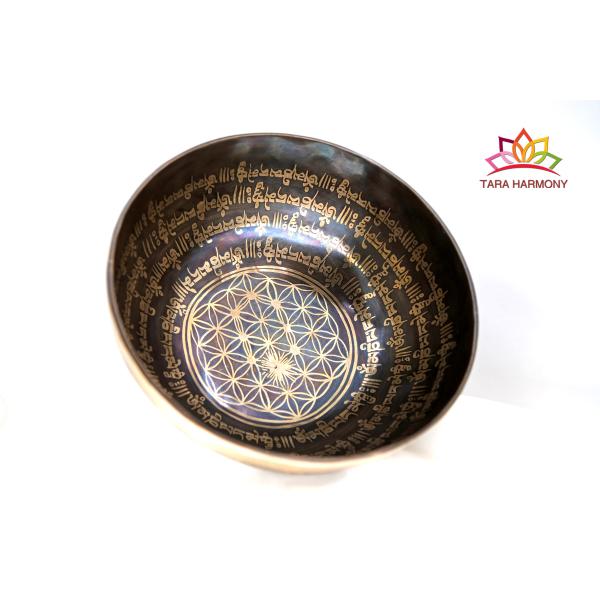 ■直径：21cm ■重量：1089g■倍音構成：C#3,G4,F#5（★★超美音ランク）例）G4は音階のソで、ピアノの鍵盤中央音域４の高さ　　基音（最も低い音）がC#3で、その上にG4,F#5の倍音が主に重なった音色です。■検出ソルフェジオ...