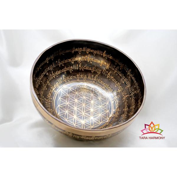 ■直径：22cm ■重量：1125g■倍音構成：C#3,G#4,G5（★★超鼻音ランク）例）G#4は音階のソ＃で、ピアノの鍵盤中央音域４の高さ　　基音（最も低い音）がC#3で、その上にG#4,G5の倍音が主に重なった音色です。  ソルフェジ...