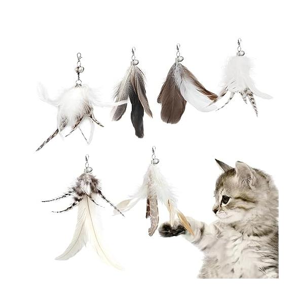 カラー：原色安全安心に遊べる天然鳥の羽根（6羽）：ねこじゃらしの先端につけるおもちゃは6の原色の天然羽根、楽に交換できる羽単品のおもちゃ（羽のおもちゃ６セット）釣り竿なしねこおもちゃ：猫ちゃんがうれしくなる原色の羽根おもちゃ、天然羽で着色が...