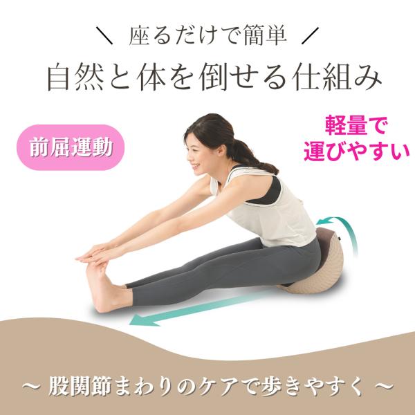 taroshop_stretch-cushion-tuika-1_1_d_20250326203348