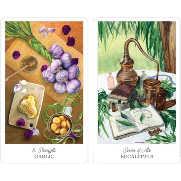tarot_herbcrafters-tarot_2