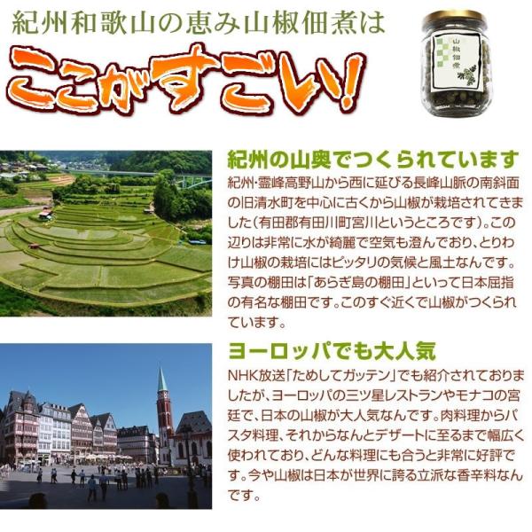 山椒佃煮 45g 本場和歌山ぶどう山椒山椒の実山椒佃煮無添加 Buyee 日本代购平台 产品购物网站大全 Buyee一站式代购bot Online