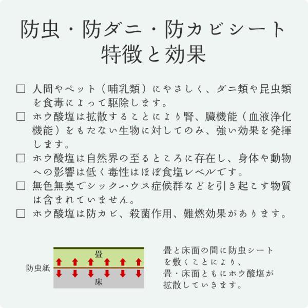 防虫 防ダニ 防カビシート 6帖用 約1m 3 8ｍ 3枚 日本製 Buyee Buyee Japanese Proxy Service Buy From Japan Bot Online