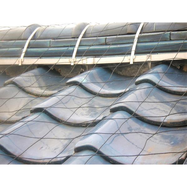 ד Uh~plbg 100 (10m×10m) [48]