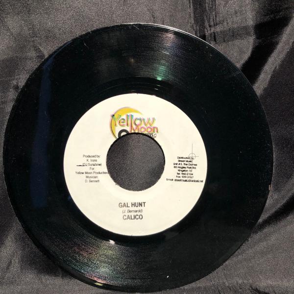 Jamaica盤状態：EX-〜超音波洗浄後発送〜