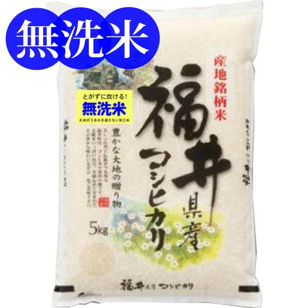 コシヒカリ 無洗米 5kg 福井県産 米 お米 5キロ 令和6年産 ご コシヒカリ 無洗米 5kg 福井県産 米 お米 5キロ 令和6年産 ご