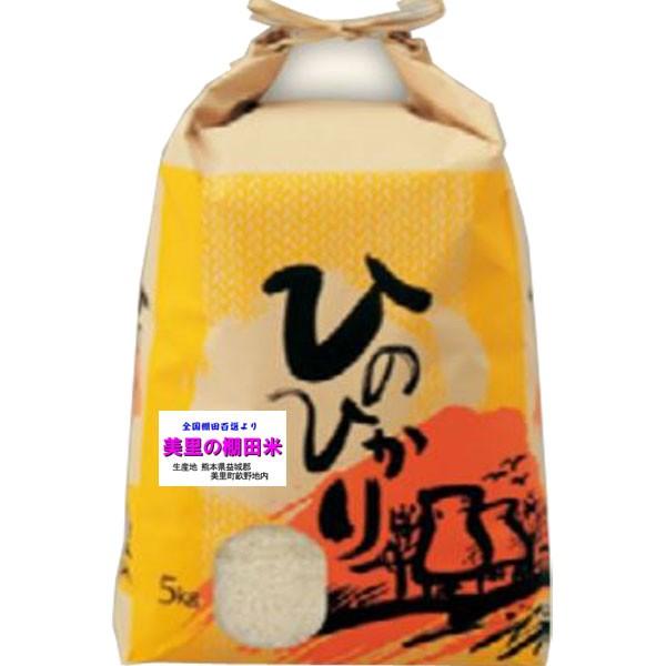 ヒノヒカリ 米 5kg 熊本県産 美里町 棚田米 お米 5キロ 令和5年産 玄米